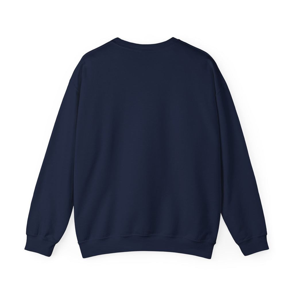 Rainbow Chevron Bow Sweatshirt for Girls, Cute Unisex Crewneck, Birthday Gift, Bow Sweatshirt,