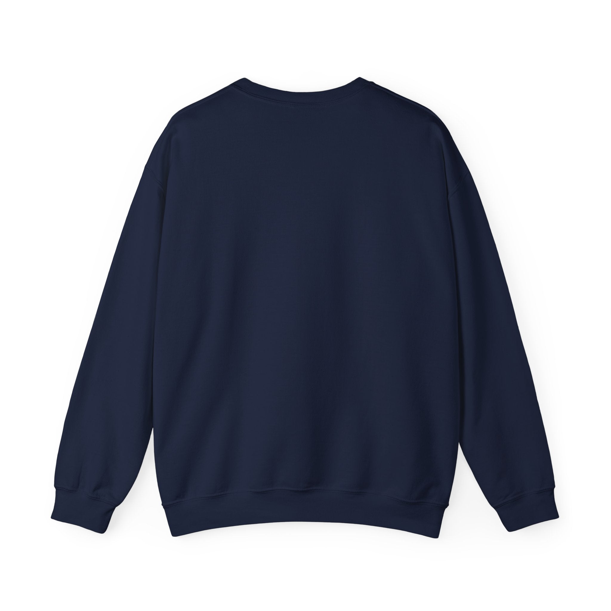 Rainbow Chevron Bow Sweatshirt for Girls, Cute Unisex Crewneck, Birthday Gift, Bow Sweatshirt,